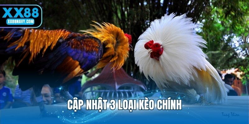 Cập nhật 3 loại kèo chính