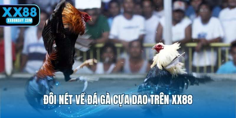 Đôi nét về đá gà cựa dao