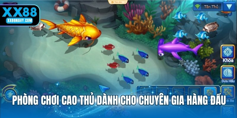 Phòng chơi cao thủ dành cho chuyên gia hàng đầu