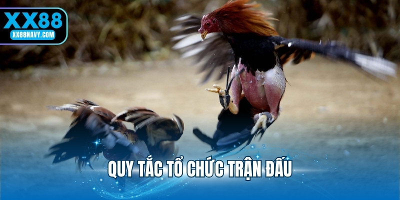 Quy tắc tổ chức trận đấu